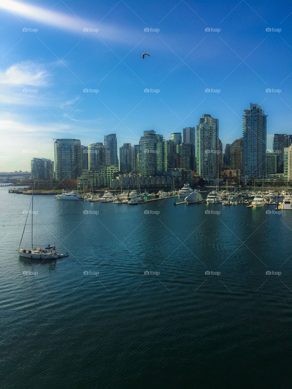 Vancouver, British Columbia on a beautiful spring day with a tinted filter