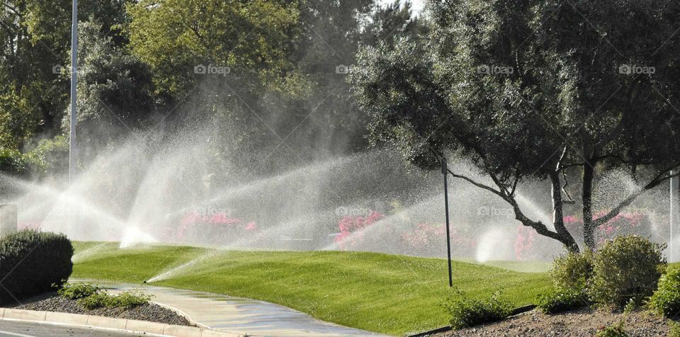 Watering The Grass