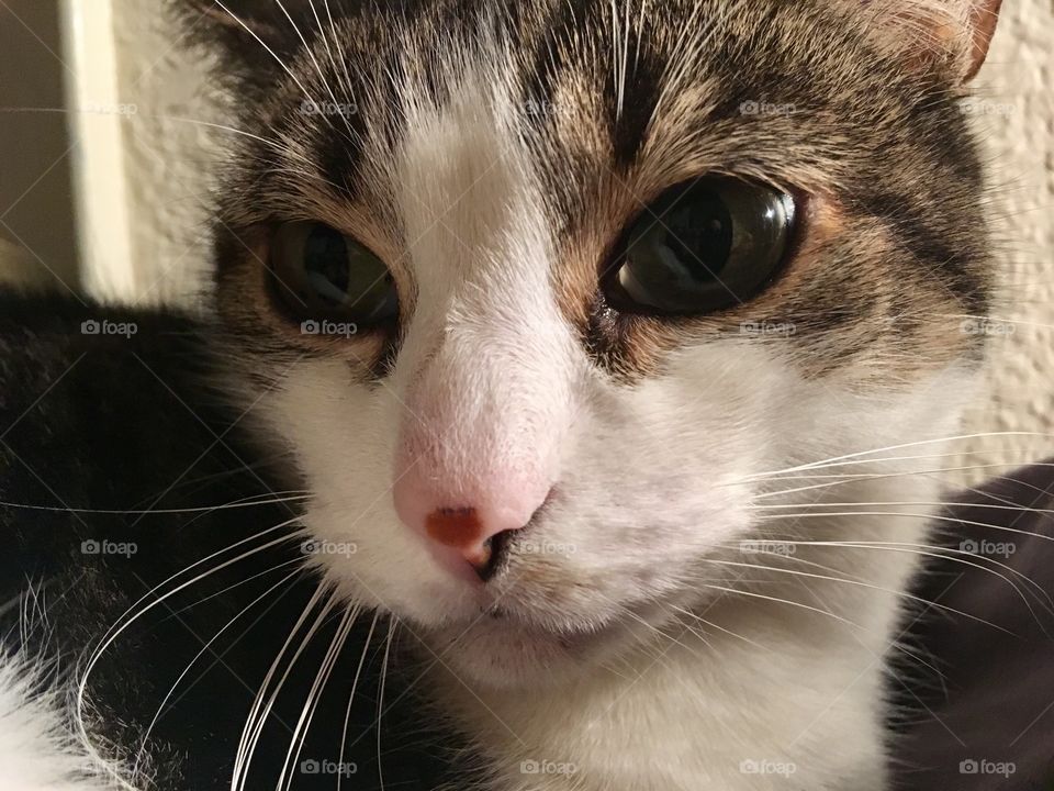 Ok just get my right side. It’s my good side 