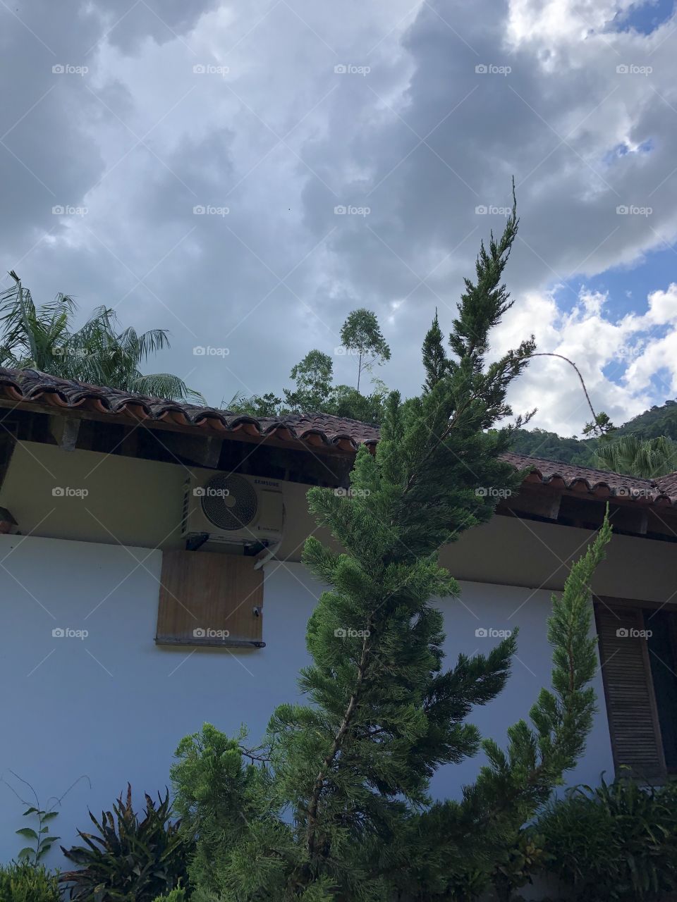 Árvore e casa com céu e nuvens 