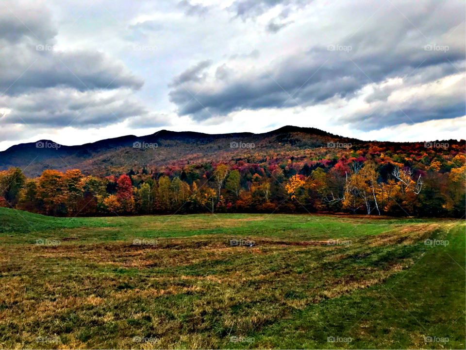 Vermont while foliage 