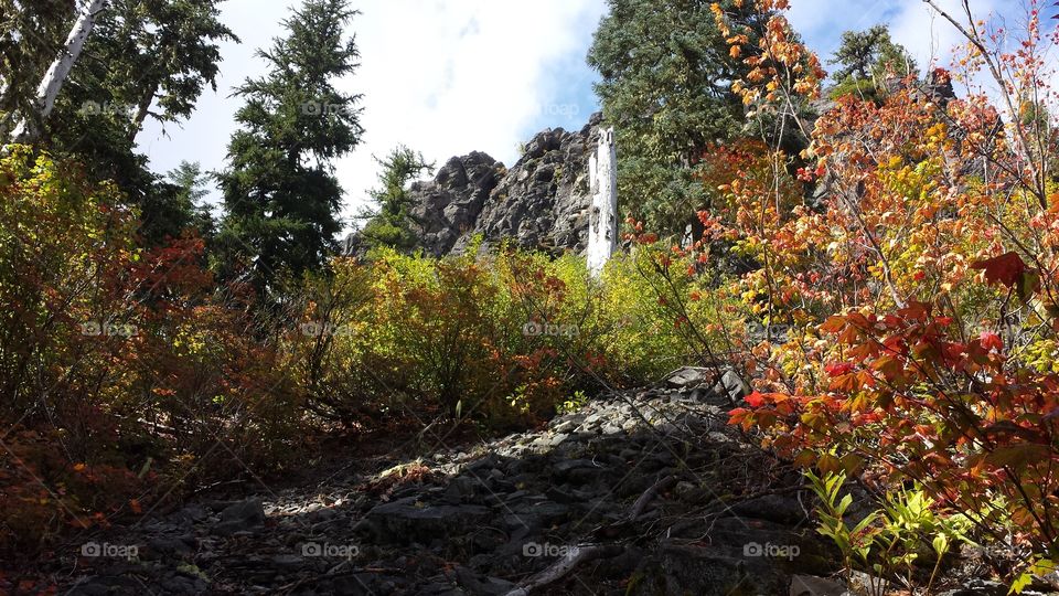 Ridgeline Hike. near Idanha Oregon