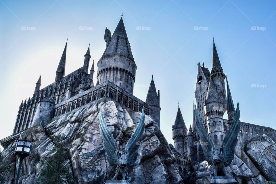 Harry Potters Hogwarts School for Wizards
