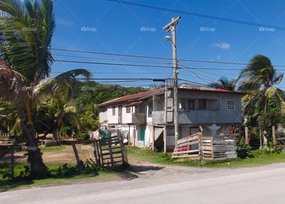 Picture from moving car traveling in Roatan Honduras  