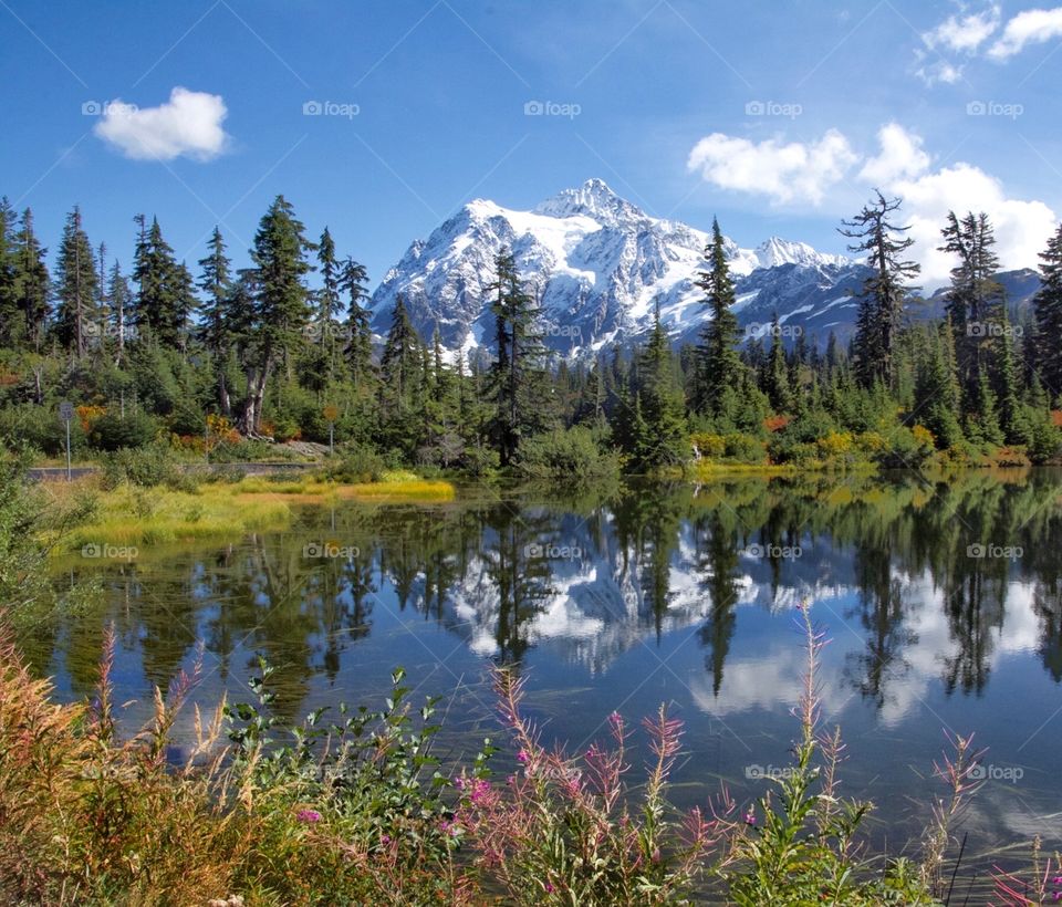 Pacific Northwest reflection