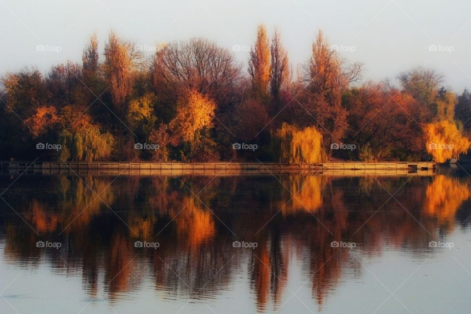 Autumn mirror on the lake