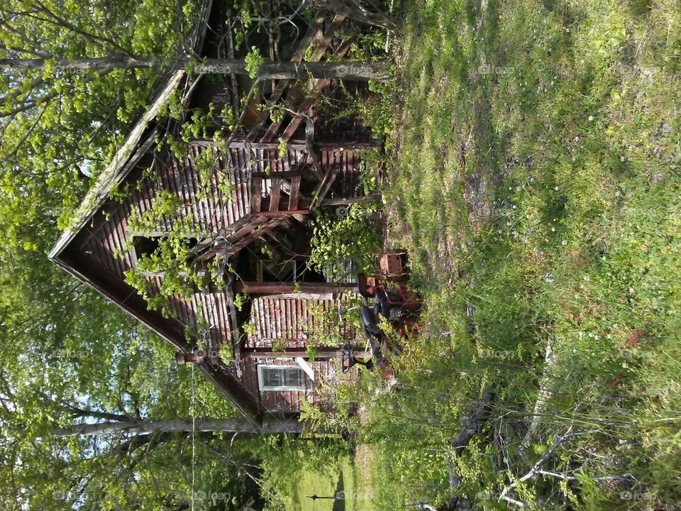 Rural creek house