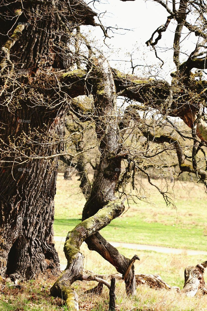 Upload Photo of the Week