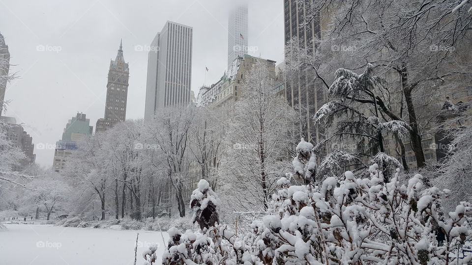 Winter in New York City. 🗽❄❄❄⛇☃🌨🌨🎄❄