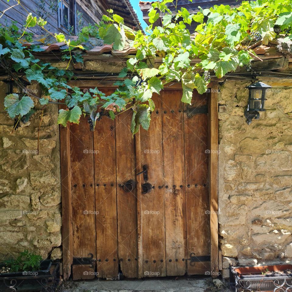 Rustic Wooden Door Framed by Vine-Covered Stone Wall