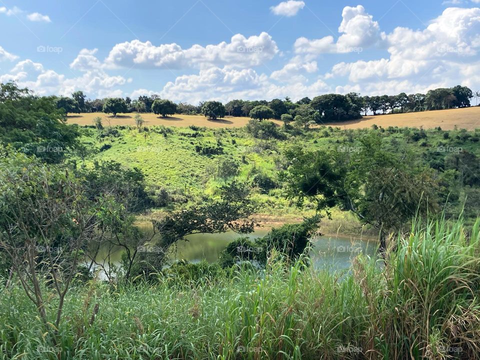 À beira da Rodovia, muito verde, muito azul e muita água!

A combinação das cores da natureza sempre me inspiram…

Meio-dia em Louveira.