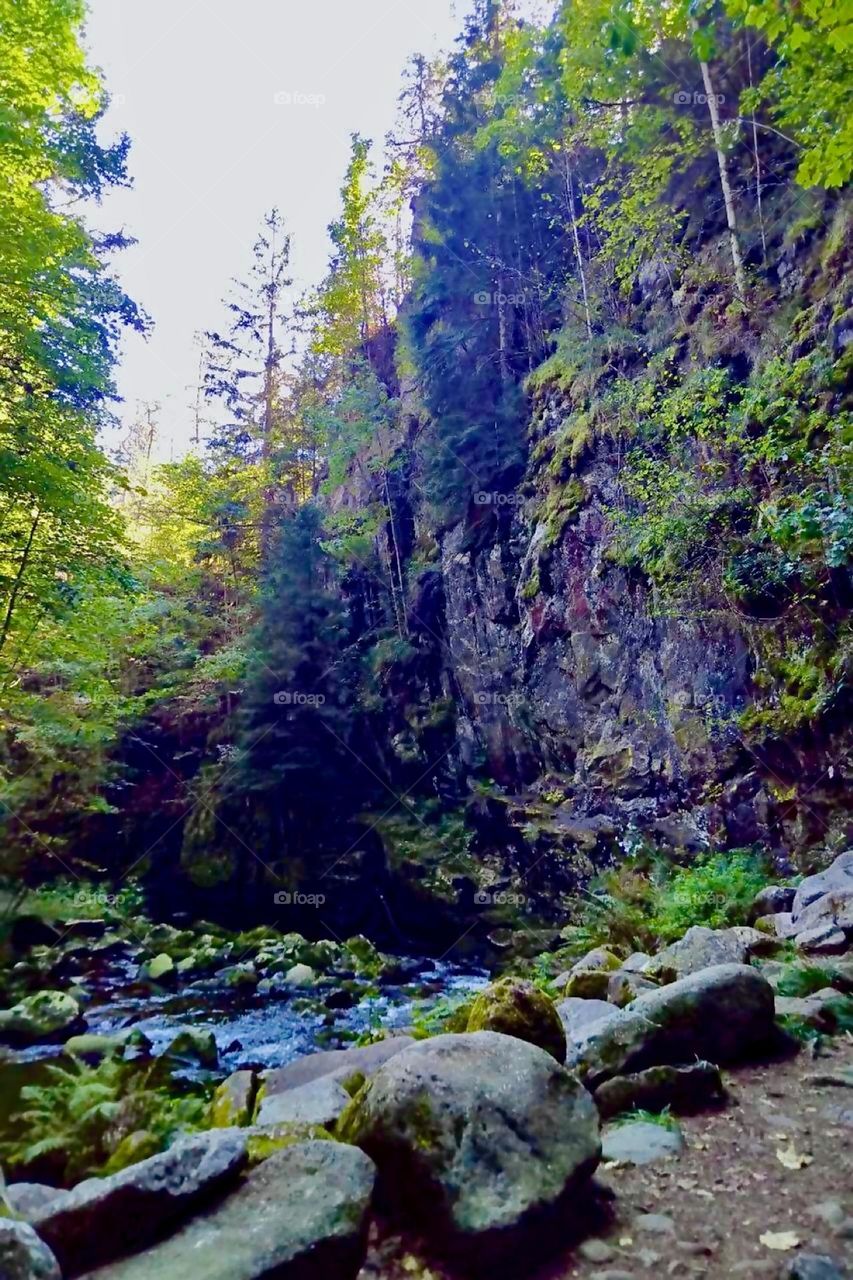 This dramatic forest environment formed when the river turned white water rapid „Wilde Wolfsteiner Ohe“ cut a valley into the rocks near the present day townships of „Ringelai“ and „Freyung-Grafenau“ in „Bavaria“. 2023. Hypnotic Productions