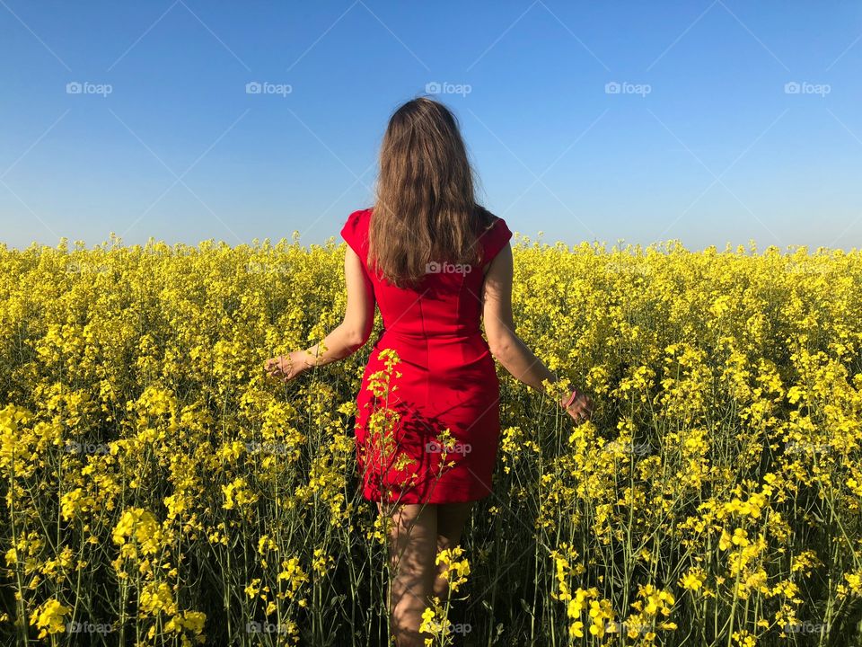 Back of woman wearing red dress in a field of canola