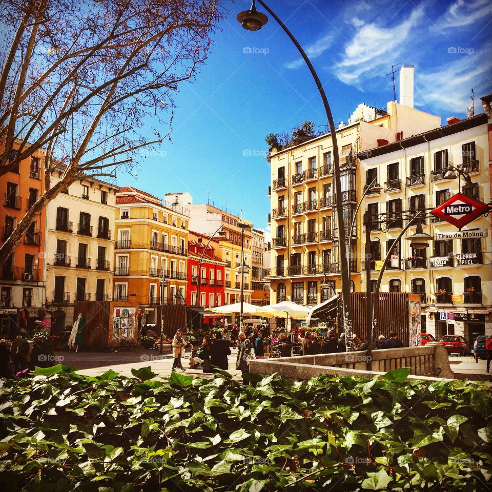 Madrid's Tirso de Molina square
