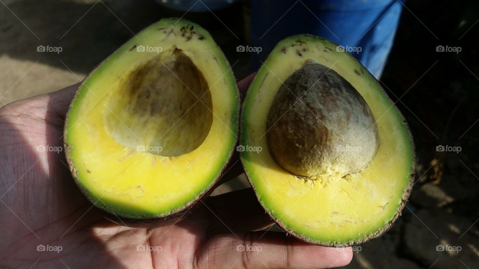 avocado