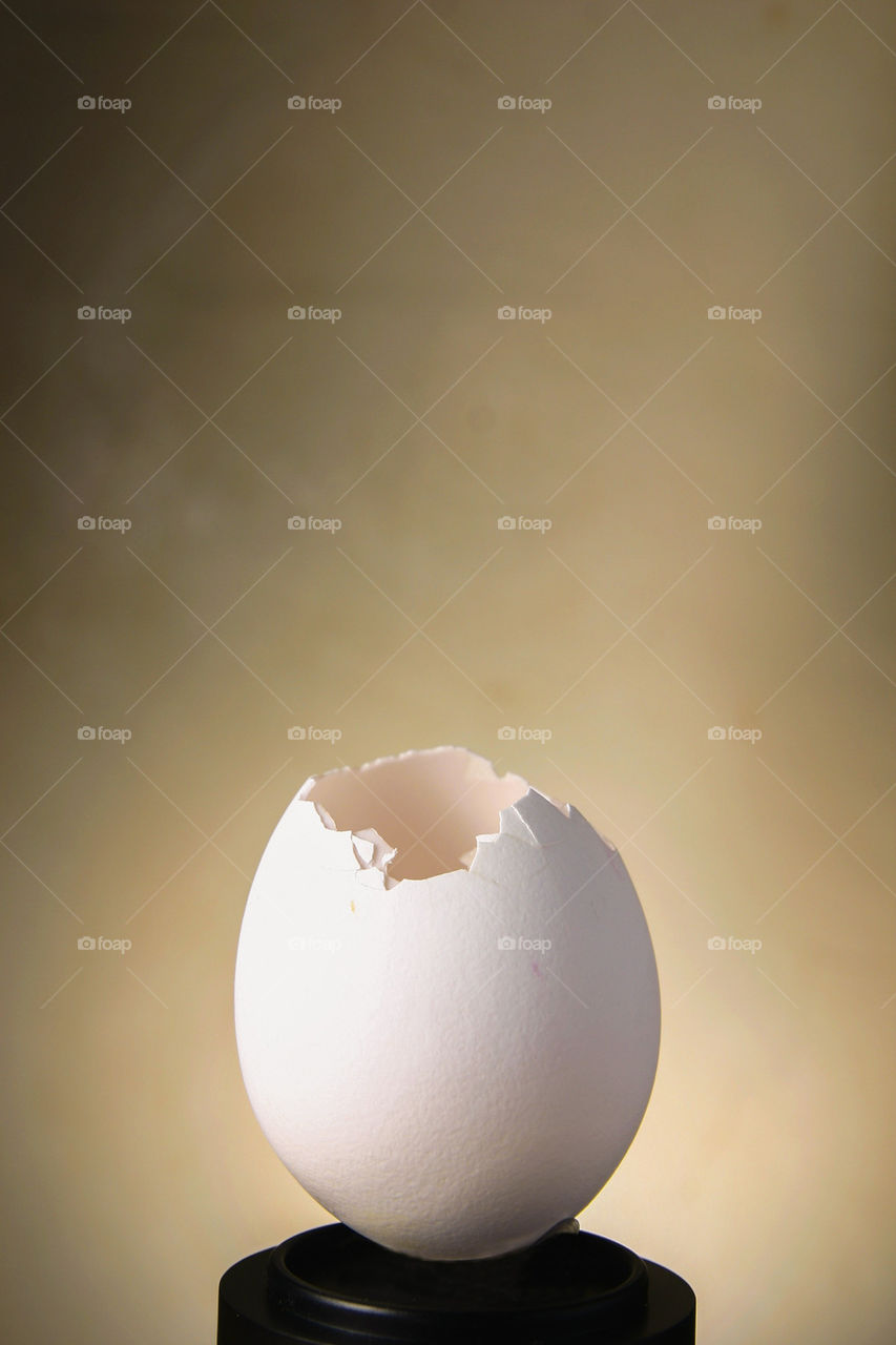 food egg poultry crack by junpinzon