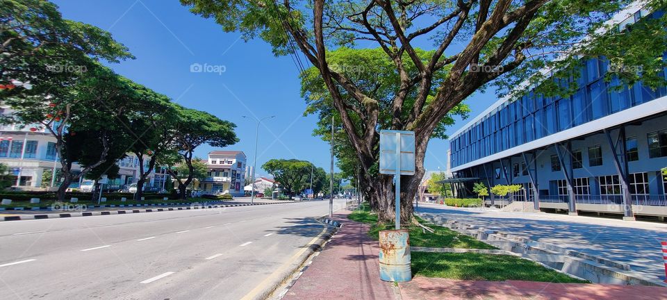 Clicking on the Summer peak day of weekend with tree's cornering road which covers natural beauty to frame