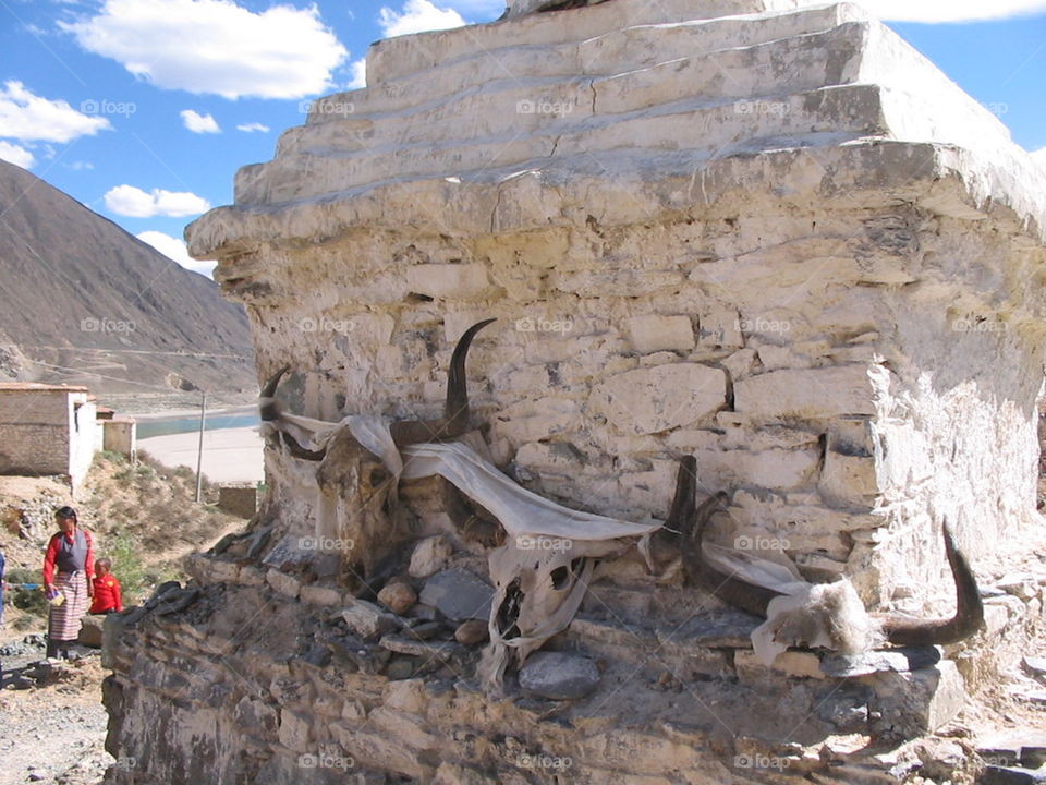 Yak skulls on a chortan