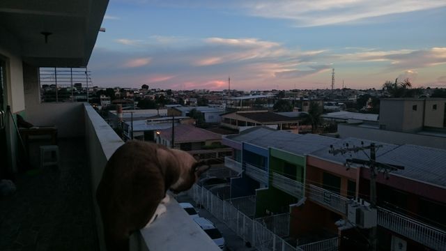 sky