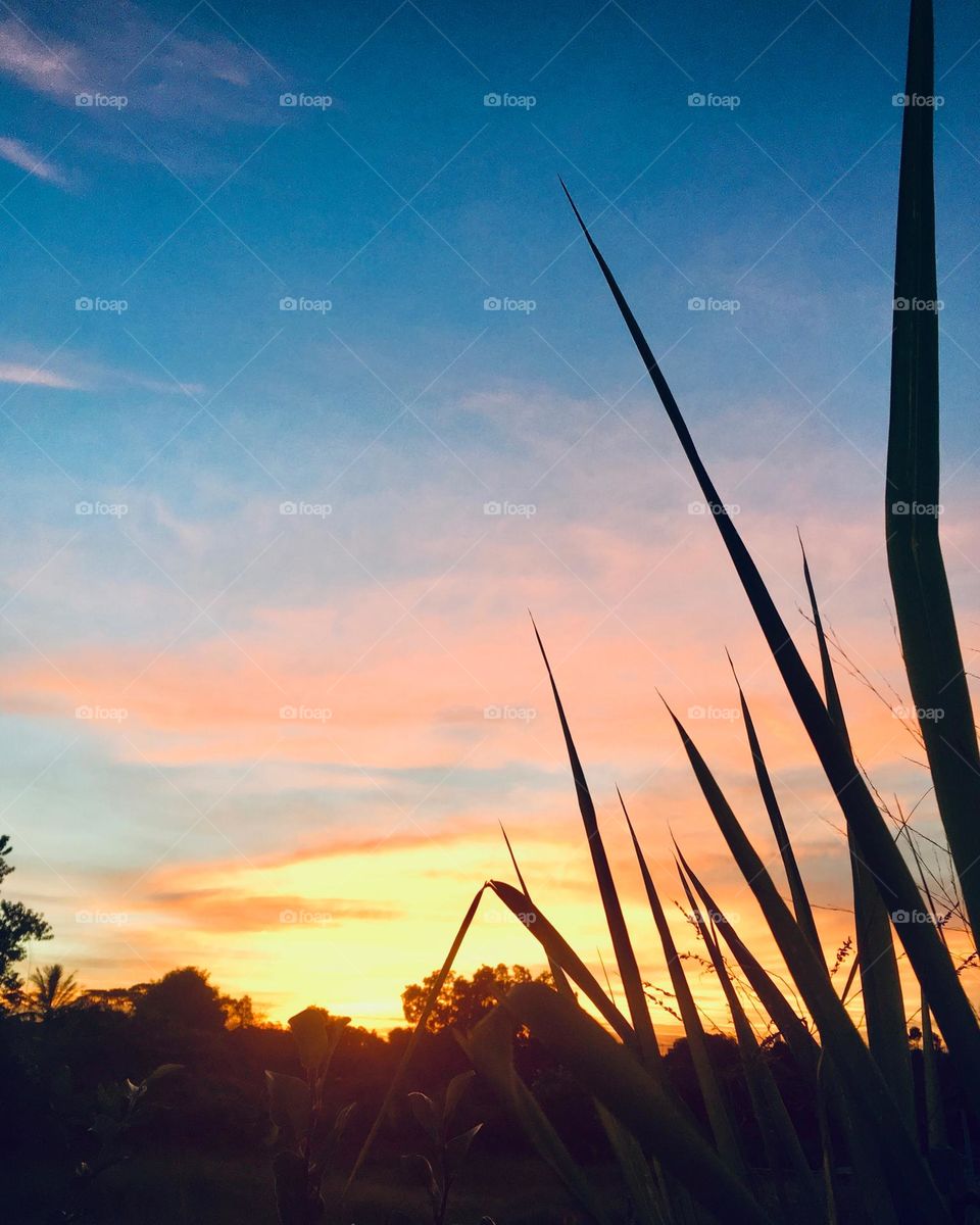 🌄🇺🇸 An extremely beautiful dawn in Jundiaí, interior of Brazil. Cheer the nature! / 🇧🇷 Um amanhecer extremamente bonito em Jundiaí, interior do Brasil. Viva a natureza! 
