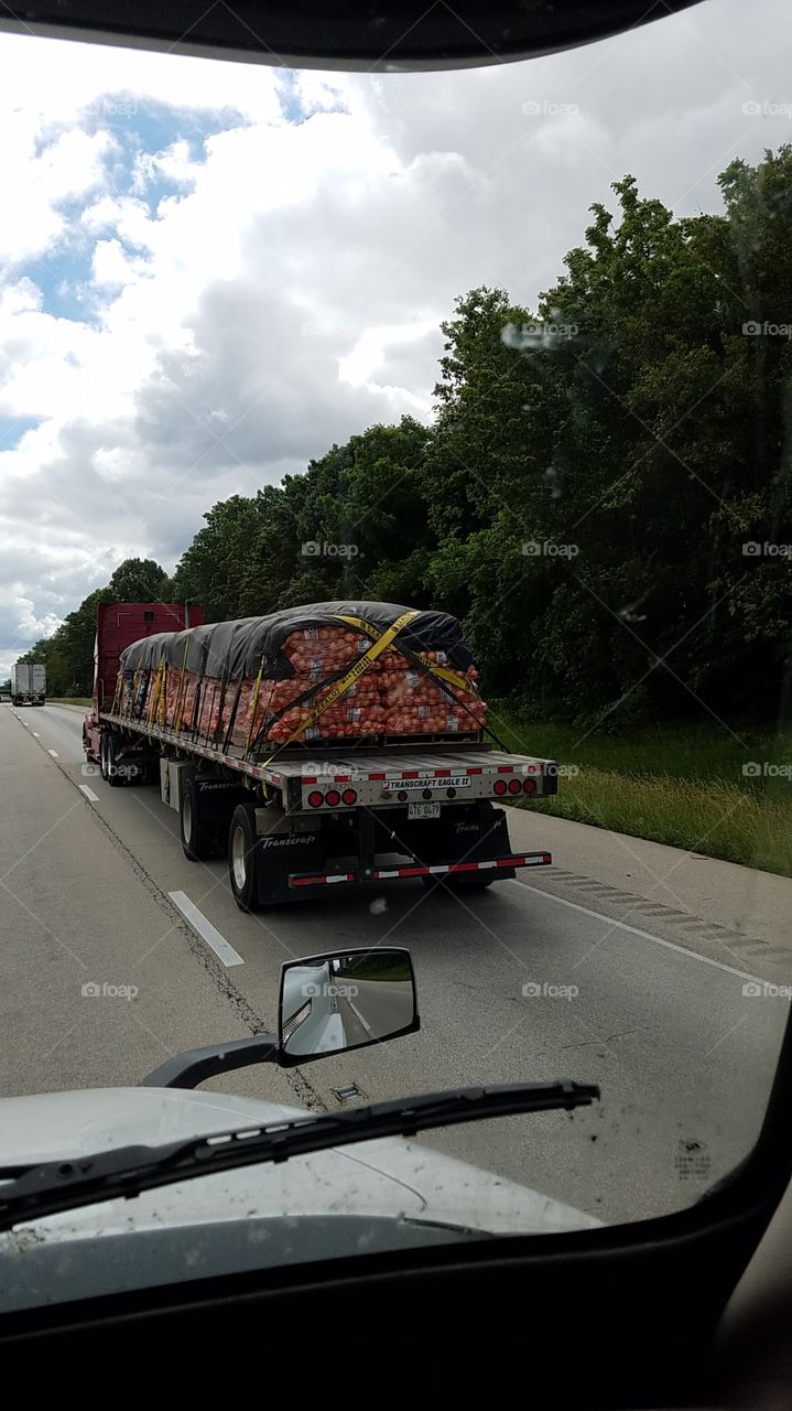 load of onions