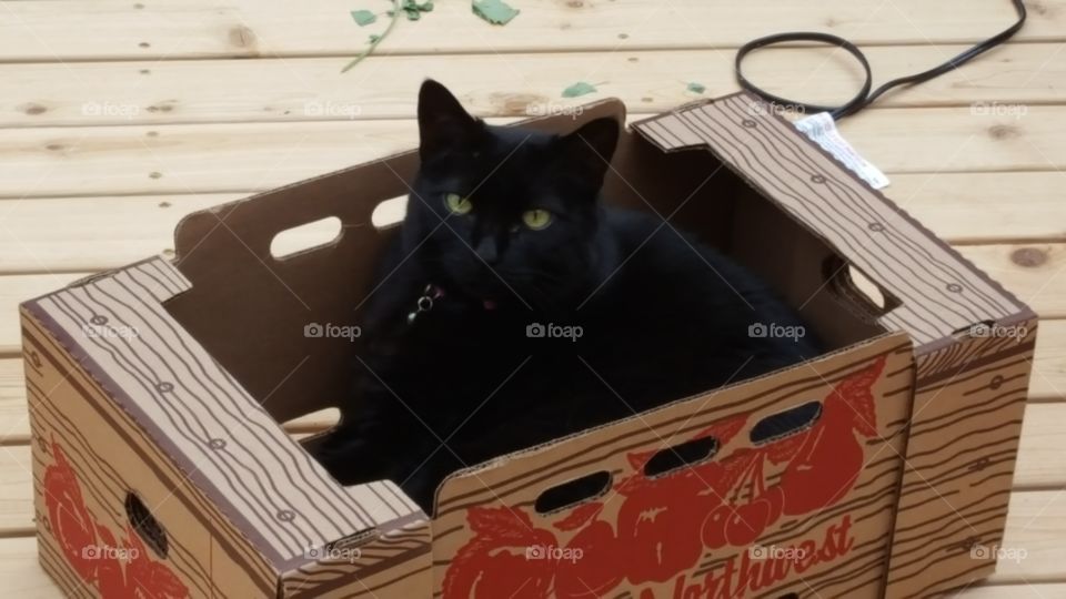 dis mah box