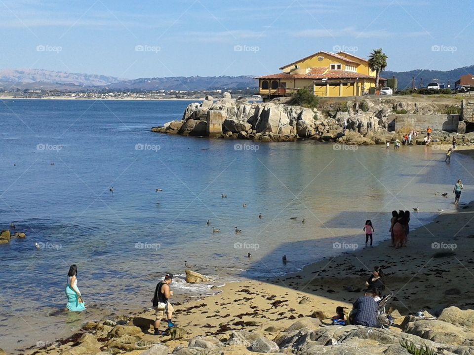 Monterrey beach, California 