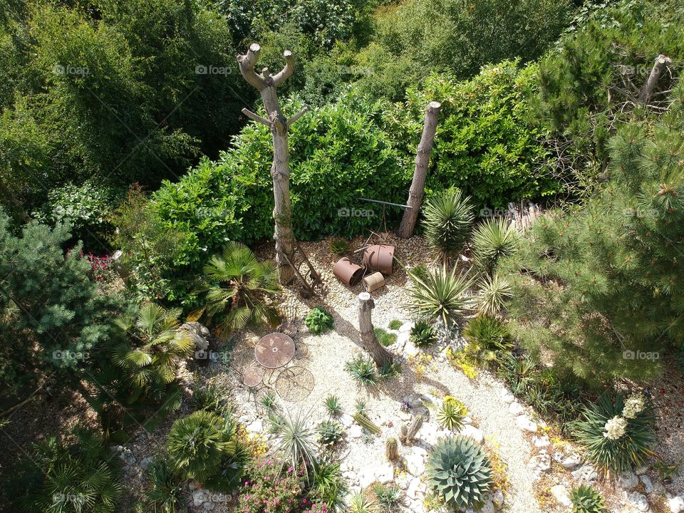 Arid garden from above