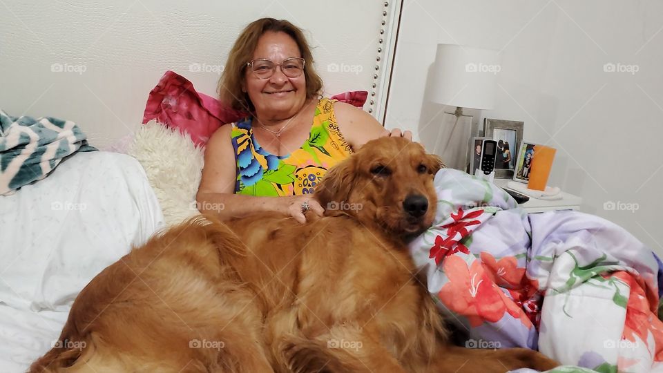 my big girl a golden retriever