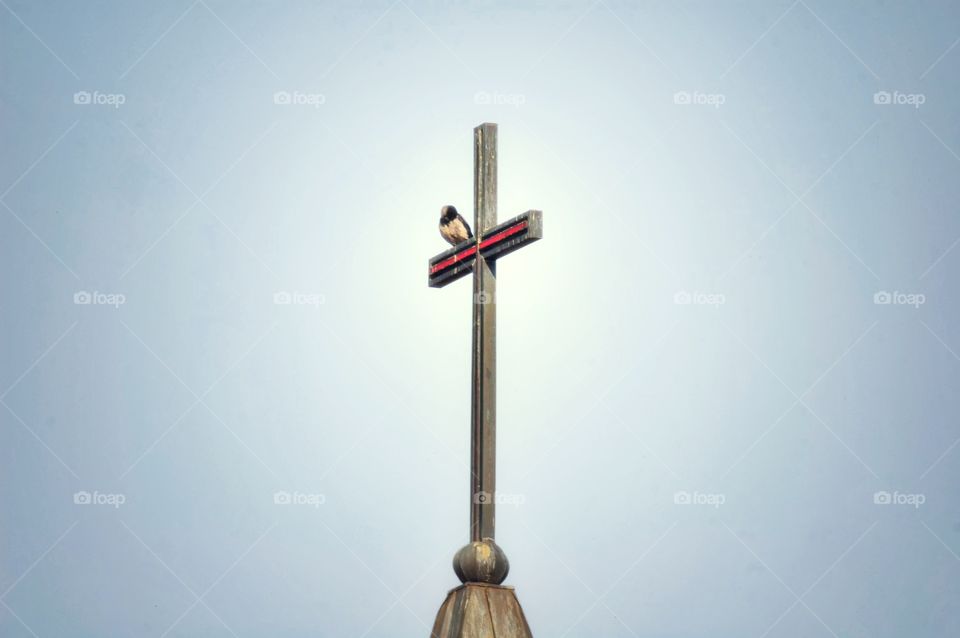 small bird on church cross