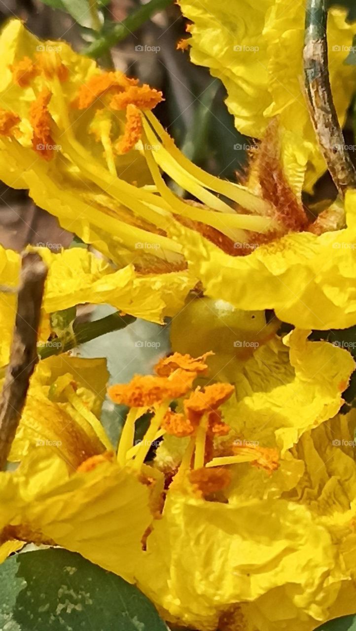 nature has given us beautiful gifts that we have to save.