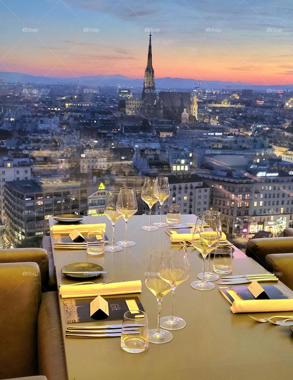 vue de Vienne depuis le restaurant das Loft