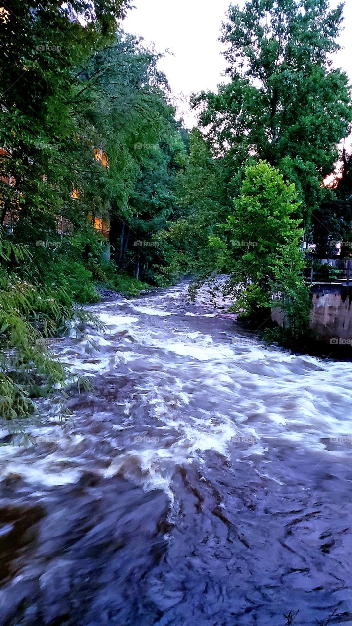 Little Pigion River After A Big Rain