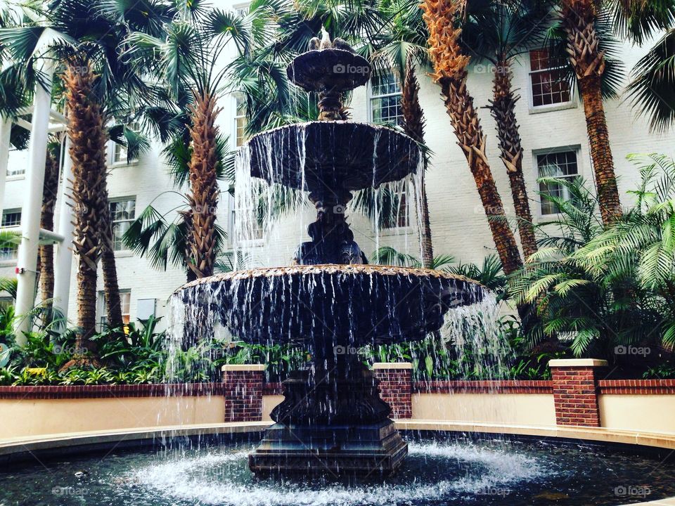 Water fountain. Palm trees. Water splashing. Nashville. Tennessee. Water falling. Grand Opry hotel. Greenhouse. Tourist attraction. 