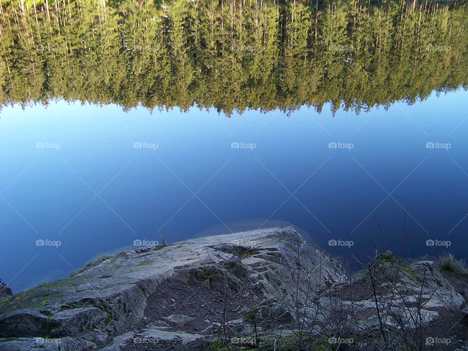 Trees and sky reflecting on lake