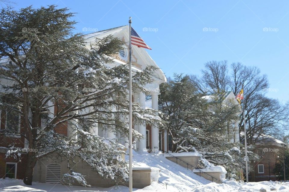 Snow Days // College Park, MD