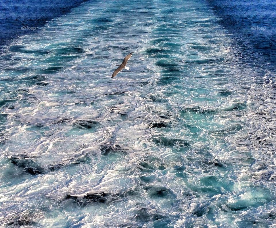 water blue ferry ship by jeanello