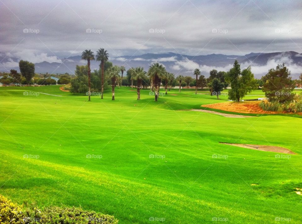 Golf Course on Cloudy Day