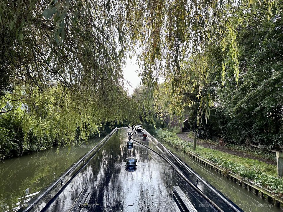 Oxford canal cruise on narrowboat through forest trees woods nature late summer leaves trees foliage