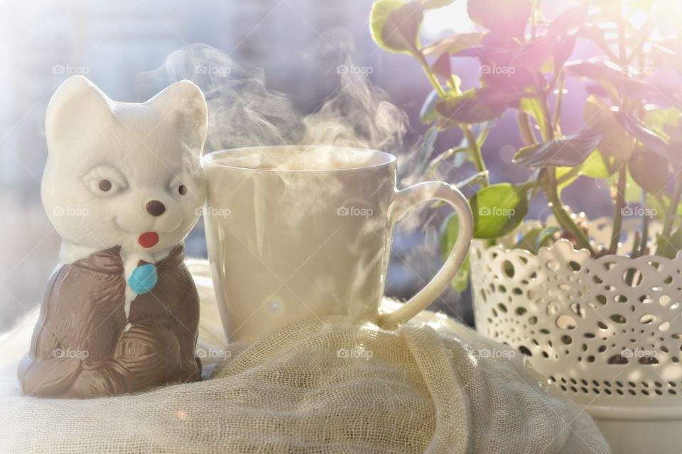 Flower, Christmas, Family, Beautiful, Cute