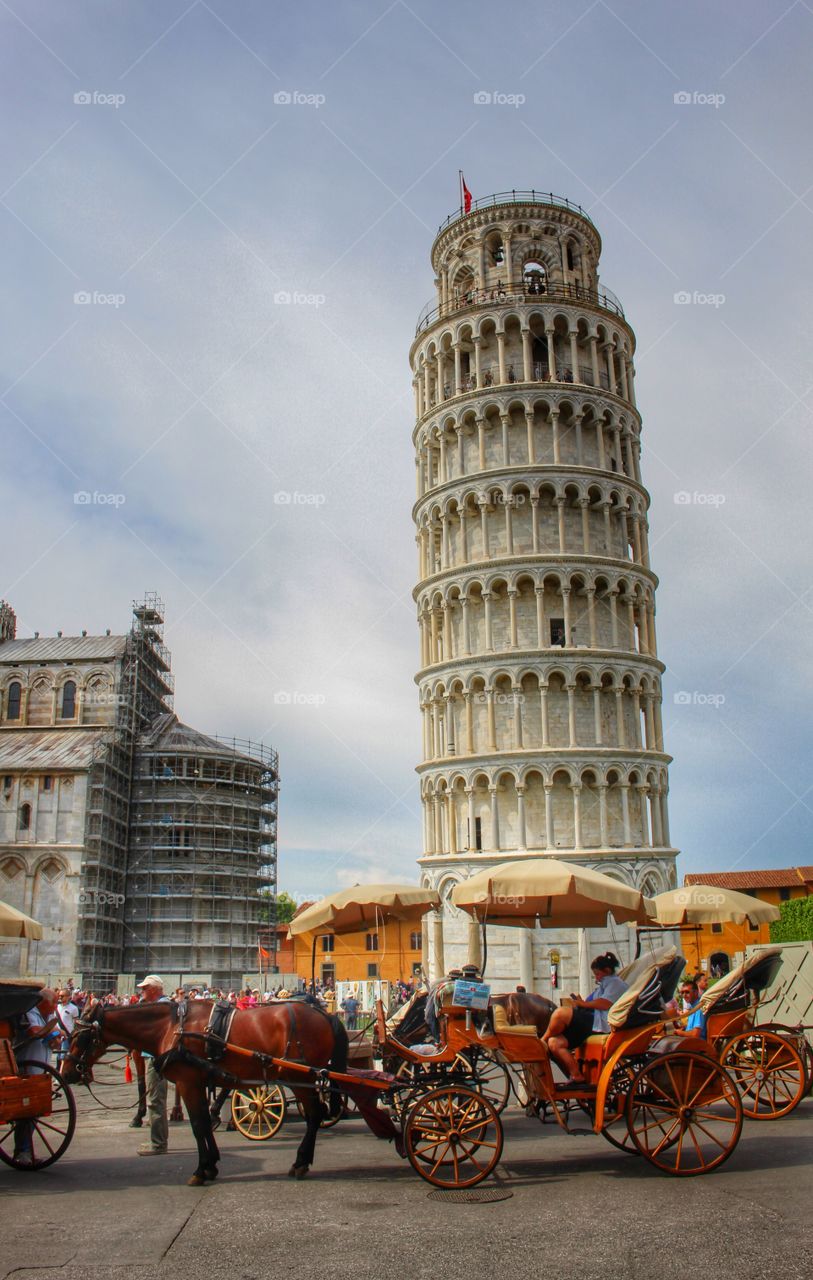 The Tower of Pisa with horse drawn carriages waiting in front.