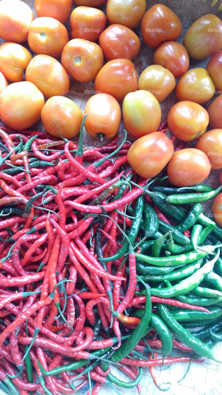 Tomato red chili and green chili in one container
