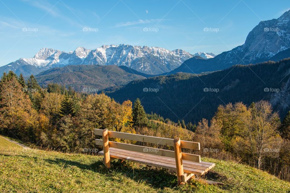 Bench with a view