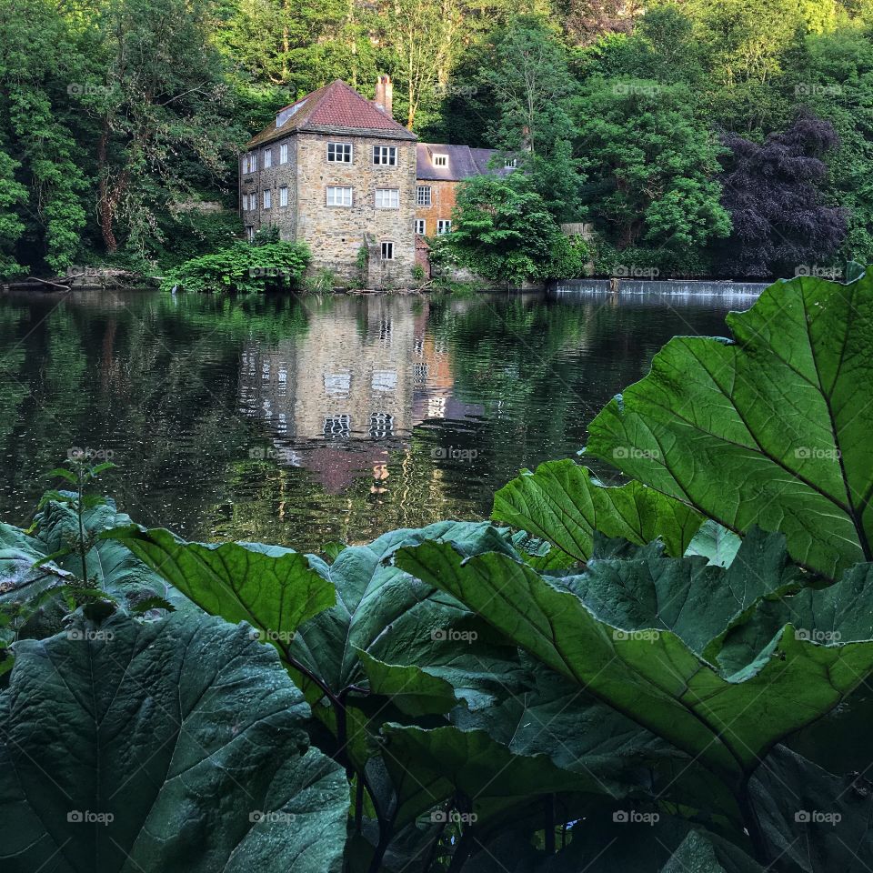 Open your eyes and see what you can shoot in your local neighbourhood ... Durham riverbank reflection 