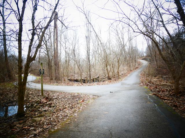 A fork in the road. You can take the easy path, or the difficult one. 