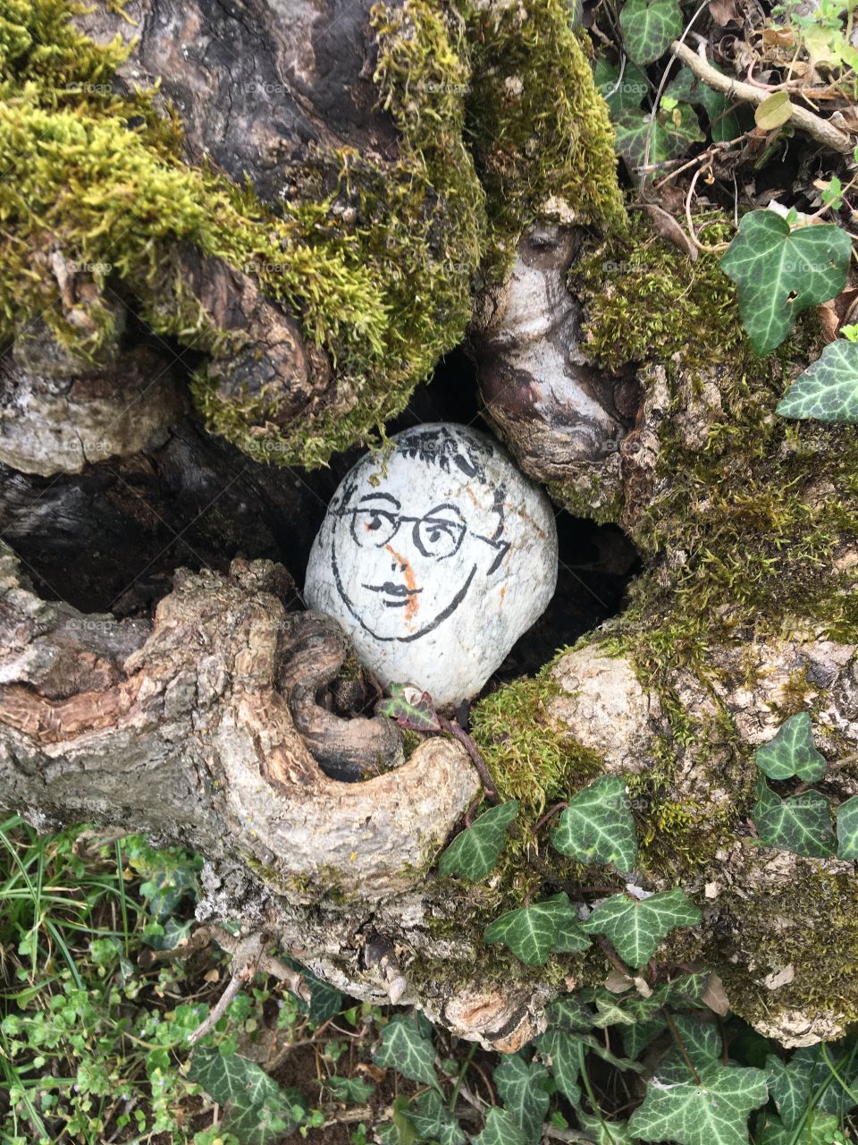 ... well sheltered in an old tree stump, black drawing on a stone - #2