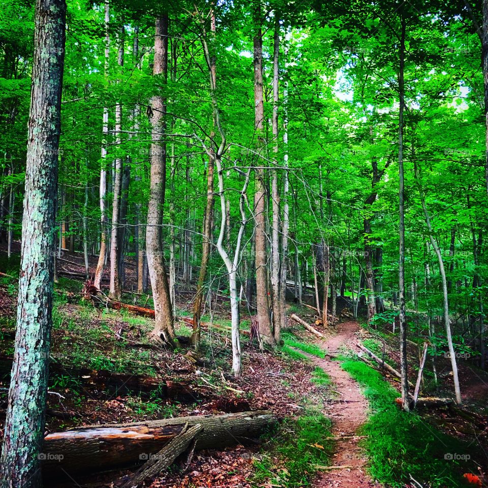 Valley Falls State Park, West Virginia 