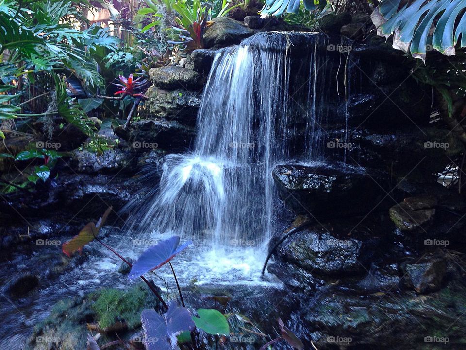 Beautiful urban waterfall oasis.