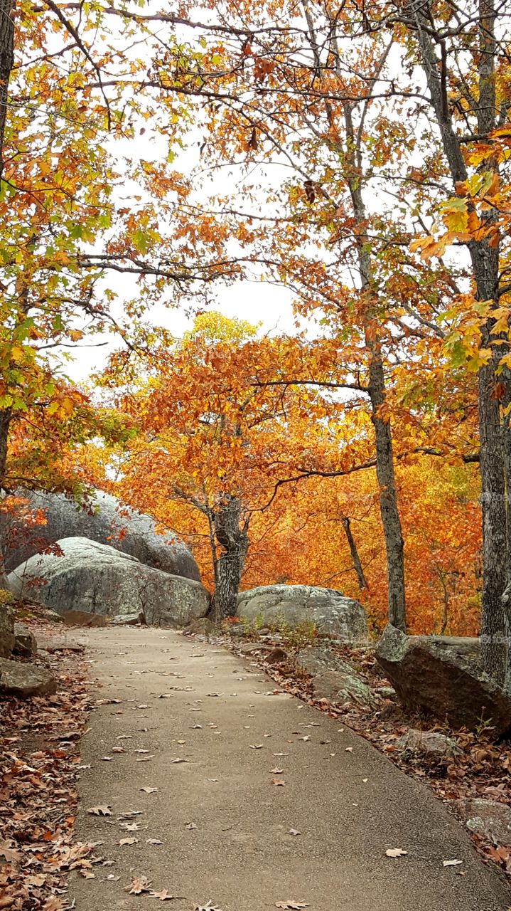 Fall in the Ozarks.....Elephant Rock.