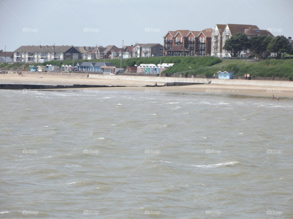 Shoreline And Houses